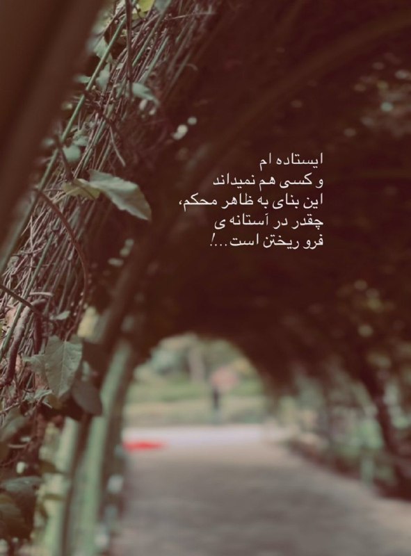 👑 شهر عکس 👑: 💜 @shahreeaks 💜