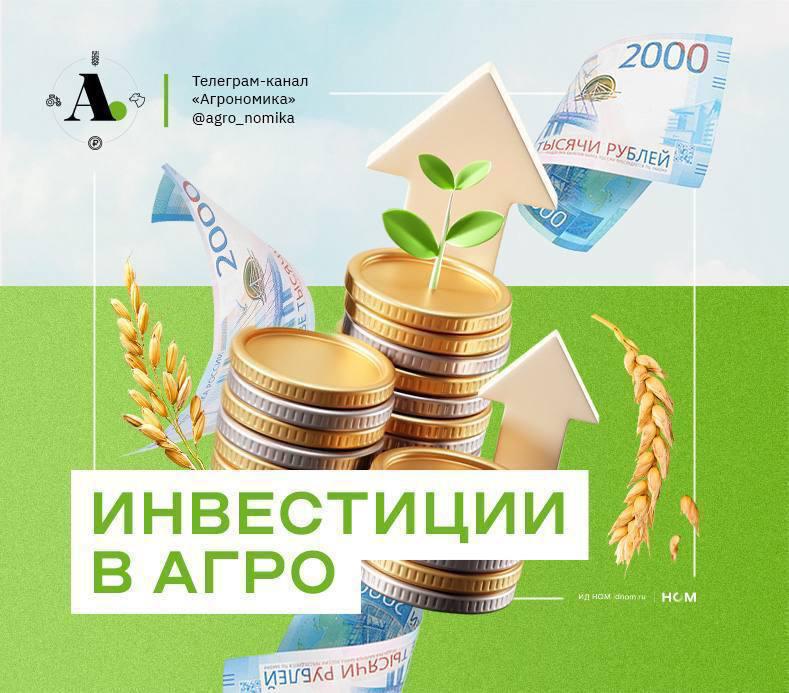 השקעות ב agro: פרויקטים חדשים בצ'ווואשיה, Voronezh ואזורים Tomsk, Khabarovskטריטוריה ואת הים הכספי. אנו ממש…