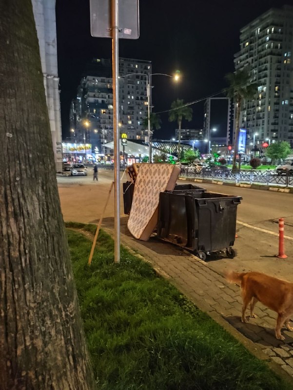 Около магнолии матрас. Выглядел хорошо