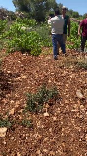 רשת חדשות ירושלים