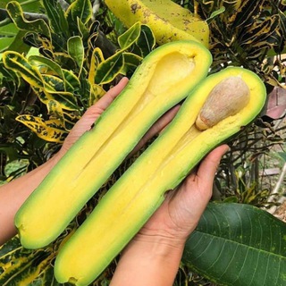 FOODLOVERS Telegram Group Link