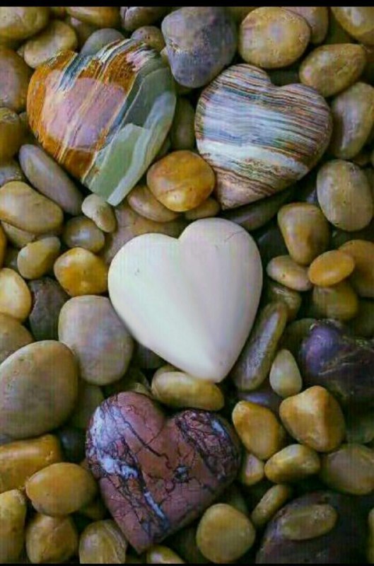 🌹👌سخنان ناب و پند آموز👌🌹: 🍁 رنجشي نيستآدمها هميناند،خوبند ولي فراموشکار:ميآيند..ميمانند..ميروند...بهترين راه زندگيهمين دوکلمه است:مرنج !مرنجا