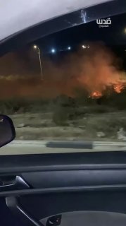 ההתקפות לא מפסיקות. מתנחלים הציתו עצי זית סמוך לכניסה לעיירה עקבבה, דרומית מזרחית לשכם.