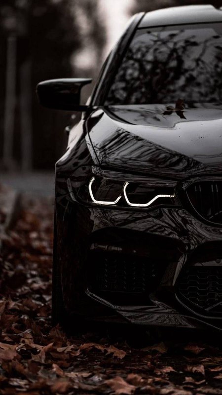 https://t.me/bmw_mpower_club