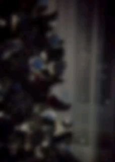 Partaking in Christmas celebrations | Sheikh Fawzan hafidahullah