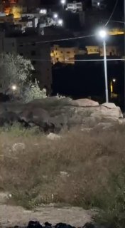 The IDF raids houses during their ongoing raid into the village of al-Mujir, northeast of Ramallah.