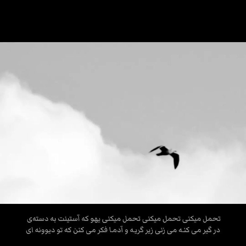 غرور | Axeset: شرح حال من .┄┅┄┅┄┄┅┄┅┄『 @AXESET 』