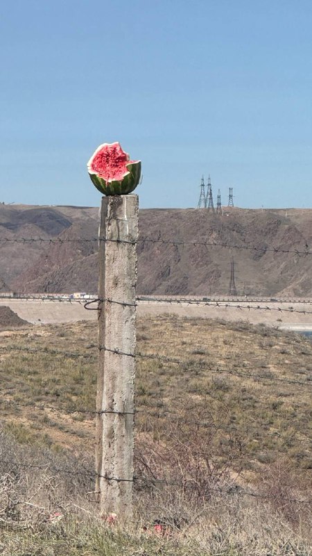 Это точно Алматы? А то у меня ощущение, что мы снимаем клип в Техасе 💘Это точно Алматы? А то у меня ощущение, что мы снимаем клип в Техасе 💘