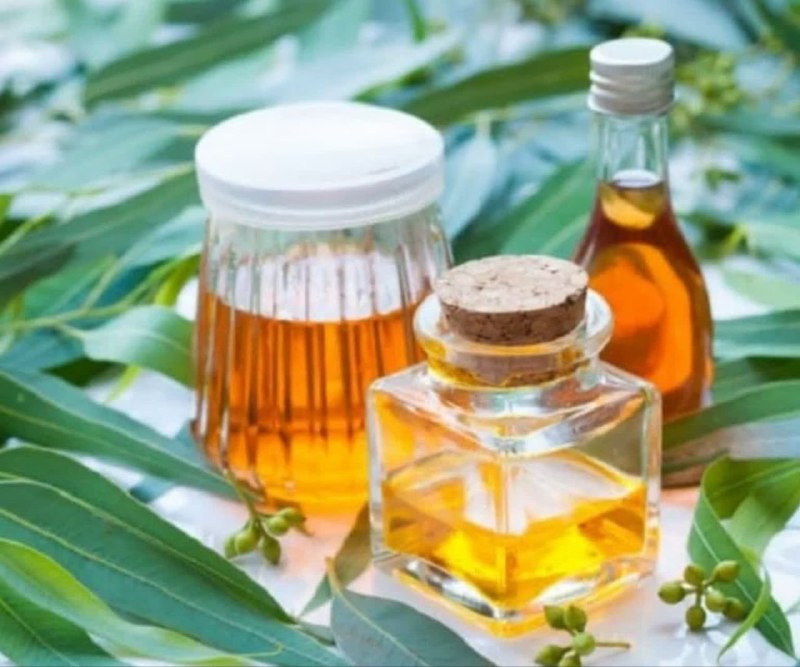 ♥طب سنتی با دلنوشته ♥: چربیهای خوب را دریابیدتوصیه میکنیم از روغن زیتون، روغن کانولا، روغن آفتابگردان، مارگارین غیرهیدروژنه، روغن کتان و روغ