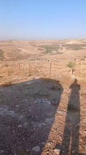 مستوطنون يقتحمون أراضي مزارعين في الخليل