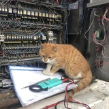 [НАБОР В АДМИНЫ] Electronic.confession