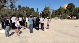 סצנות של מתנחלים מסתערים על מסגד אל-אקצא המבורך, לזכר מה שנקרא "חורבן בית המקדש".