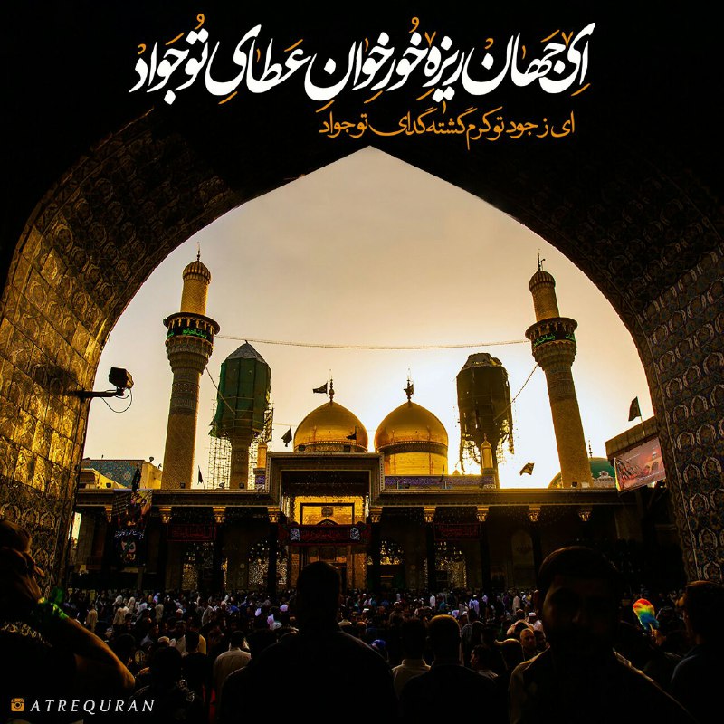 🌷در جستجوی شهدا 🌷: ❤🍃#امام_جواد (ع):🌹هر كه بى تابى اش بر شكيبايى اش غلبه کند، اجرش تباه مى شود.📚 تحف العقول🌿