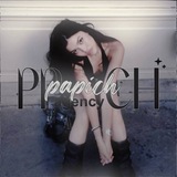 Papich agency