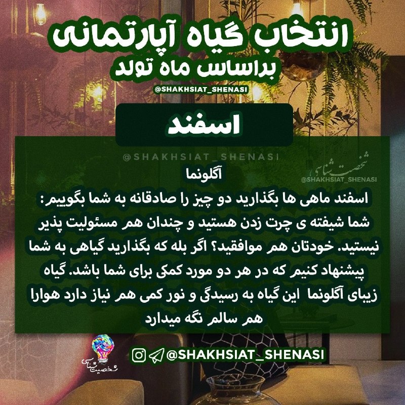 شخصیت شناسی: 💡گیاه آپارتمانی بر اساس ماه تولد 🪴🍀 #اسفند 🌿 💡شخصیت شناسی 👇https://t.me/joinchat/AsUKhDukJFl2EN4x19EZoA