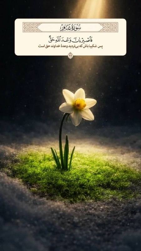 ️ دیمه | اخبار فیروزکوه: 🌱هر روز خود را با بِسْمِ اللَّـهِ الرَّحْمَـٰنِ الرَّحِيمِ و خواندن دعای عهد آغاز کنیم🌱 آیه ۵۵ سوره غافر: پس شکیبا باش ک