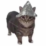 кошачьи царапки