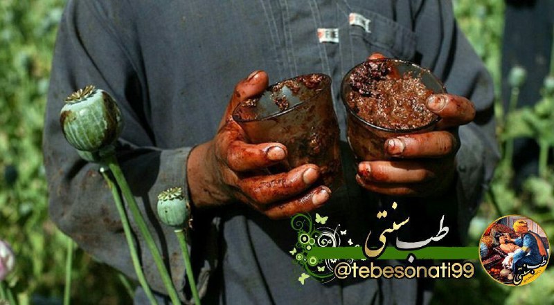 حریم💝عشق: 🚫تریاک بکشید🚫اگر از فواید تریاک با خبر بودید هر روز تریاک ❌میکشیدید 🫢فواید تریاک😱خواص تریاک بزن جستجو خودت ببین میگن راس