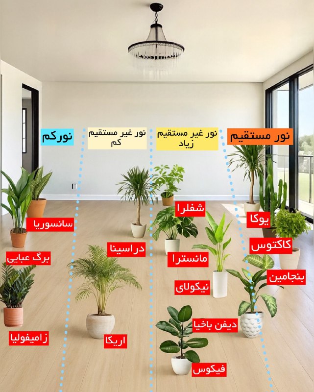 کتابخانه 🔊: هر گیاهی رو کجای خونه بذاریم؟ 📚 @bo0ok_lovers