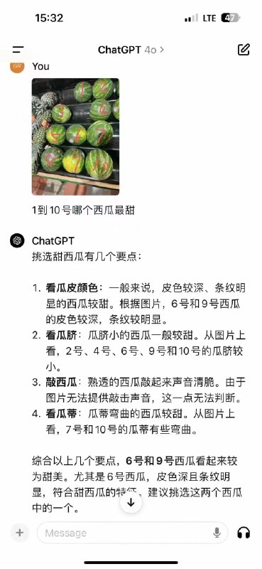 在网上看到有人用ChatGPT-4o选西瓜，我才知道chatgpt可以上传图片了