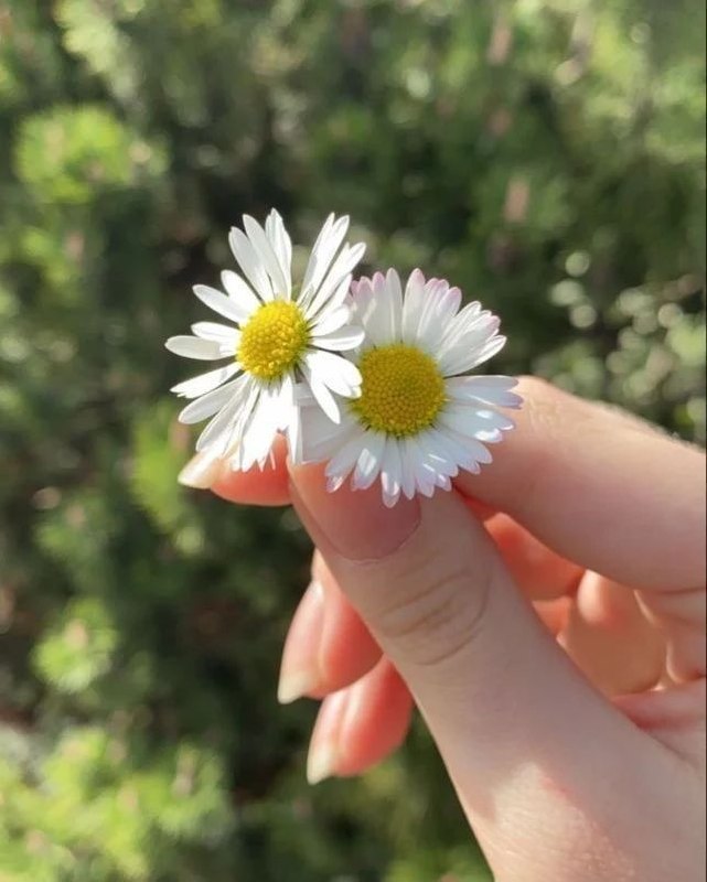 طپش قلبم🍃: خوشبختی دیگراناز خوشبختی تو کم نمیکند …و ثروت آنان، رزق تو را کم نمیکندو صحت آنان، هرگز سلامتی تو را نمی گیردپس مهربان ب