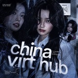 cv hub