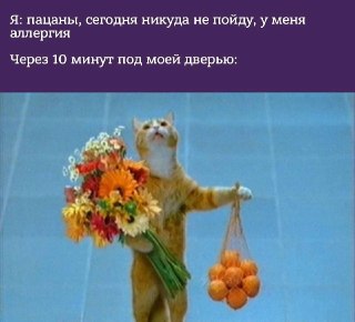 Сегодня отмечается Всемирный день борьбы с аллергией.Рассказывайте, как выживаете в сезон