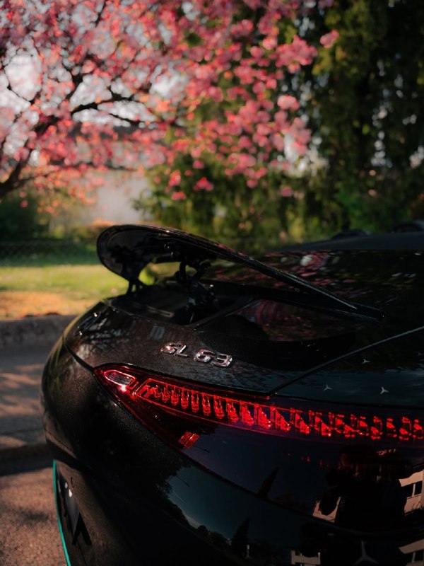AMG SL 63 Motorsport Collectors Edition, 1 из 100 экземпляров в мире 7