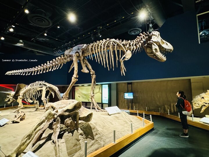 Drumheller世界恐龍之都及Badlands荒地景觀之旅