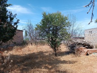 Land for sale, Tashkent region, Tashkent district, Pobeda
