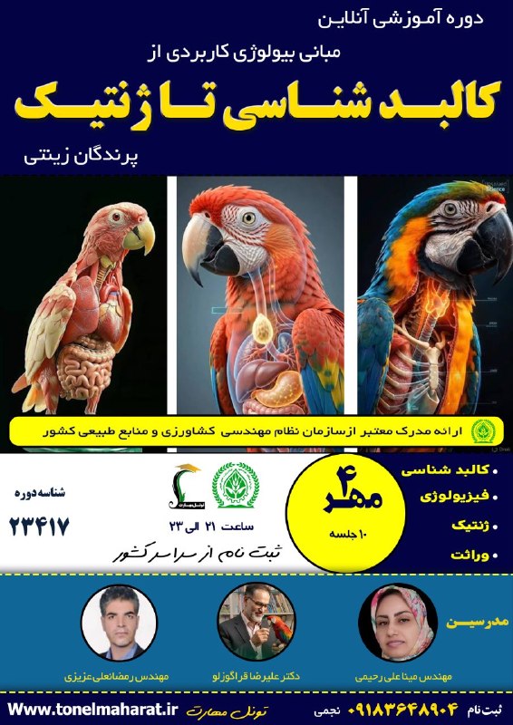 مرکزفنچ ایران: 👈دوره آموزشی آنلاین مبانی بیولوژی کاربردی از کالبدشناسی تا ژنتیک پرندگان زینتی 👈برای اولین بار در ایران 👈ارائه مدرک معتب