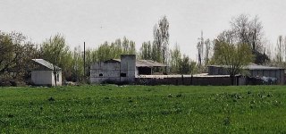 Действующая животноводческая ферма и сад 2.15 га Кибрай (Байткурган)