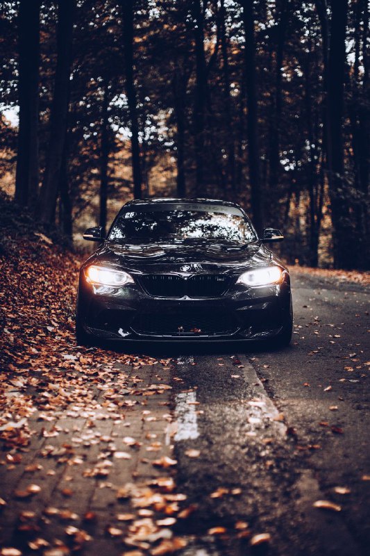 https://t.me/bmw_mpower_club