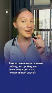 🚕 Два таксиста «Яндекс.Go» отказались везти собаку в Москве, несмотря на то, что хозяйка выбрала тариф с животным.Под роликом владельцы питомцев рассказывают, как оказывались в похожих ситуациях. ➡️ Могут ли таксисты могут отказаться перевозить животных — 