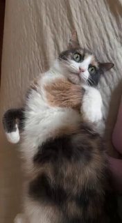 Когда некорректно составил задание нейросети😁