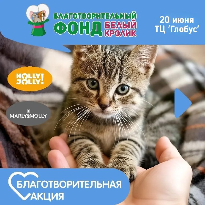 Завтра, 20 июня, в сети зоомаркетов "Белый кролик"...