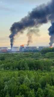 Зеленский заявил, что украинские военные поразили «Петербургский нефтяной терминал», военные цели на базе в Кронштадте, а также предприятие в Тамбовской области, задействованное в производстве оружия.