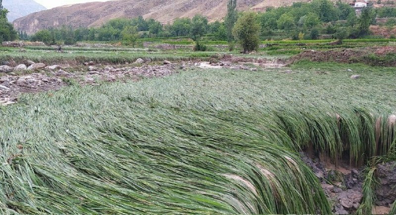 خبرگزاری ایرنا: 🔸سیل به مناطق روستایی کلات و درگز در خراسان رضوی خسارت زد🔹فرمانداران شهرستان های درگز و کلات در شمال خراسان رضوی در گفت 