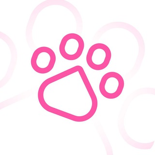 Telegram profile photo for Cats VPN — Канал