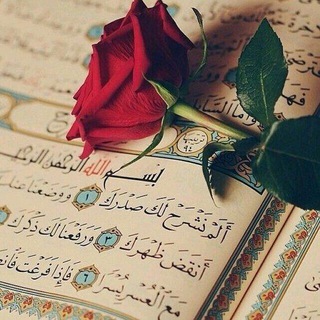 ختم قرآن آنلاین Telegram Group Link