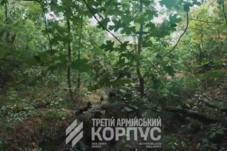 היציאה הקרבית הראשונה - שישה אסירים: כיצד התחדשה קרן ההחלפה במהלך מבצע ויוואלדי במרחב העמק הירוק תפסו לוחמי…