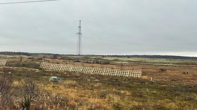 ניסוי הגנה בשלג: האם מגני עץ בעלות של 4.8 מיליון רובל יצילו את הכביש לטריברקה מחסימתו? התקנת מגני שלג על הכ…