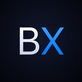 bishx devlog