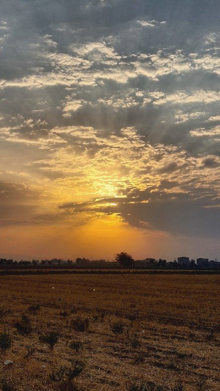 مراشین 🔮: روشنایی به کام✨🕊☀️