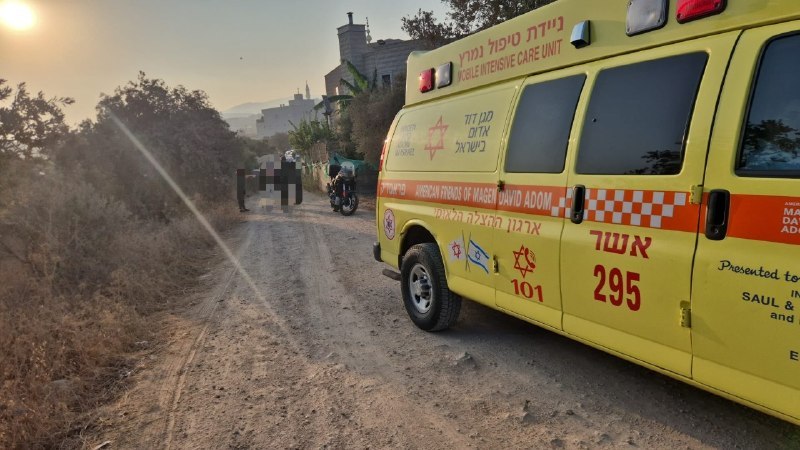 שרון קנובליך