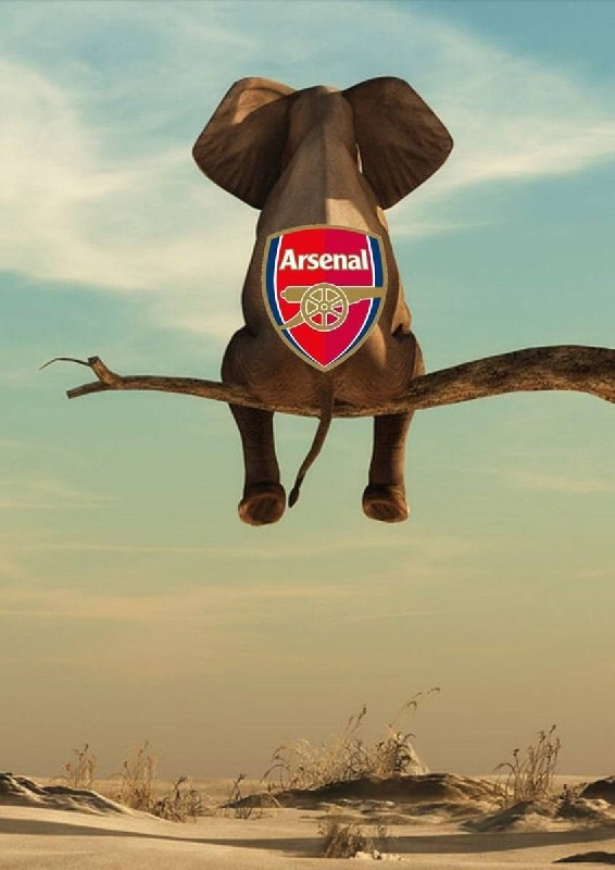 🔴⚪️ کانون رسمی هواداران آرسنال در ایران: دیگه شب بخیر😂❤️🤍🌐 www.Arsenal.ir🆔 @Arsenalir