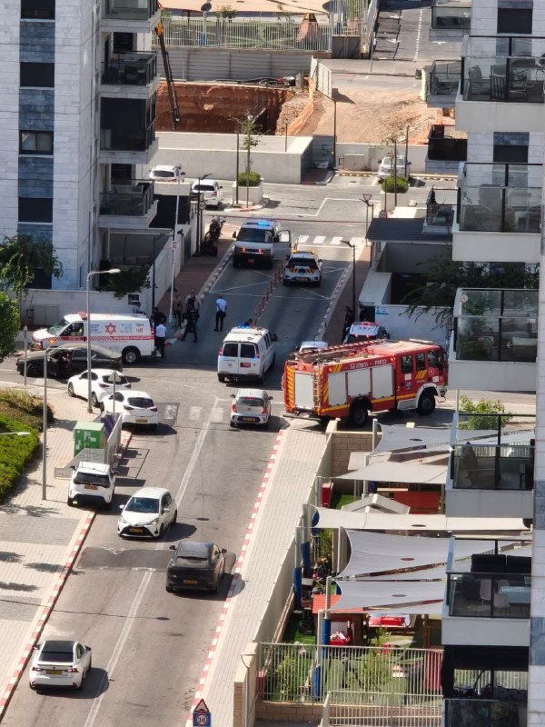 אור רביד
