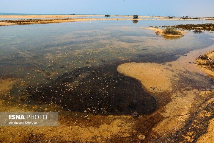 سردشت روداو: هنوز منشأ آلودگی نفتی سواحل قشم مشخص نیستدبیرکل انجمن کشتیرانی در گفت‌وگو با ایسنا:🔹در حال حاضر هیچ مدرکی نداریم که نشان