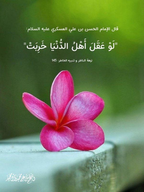 قناه السيده لبابه زوجه العباس (عليهما السلام ): ﷽ #الحكمة_الصباحيةروي عن الإمام الحسن بن علي العسكري عليه السلام: "لَوْ عَقَلَ أَهْلُ الدُّنْيَا خَرِبَتْ"📚نزهة الناظر