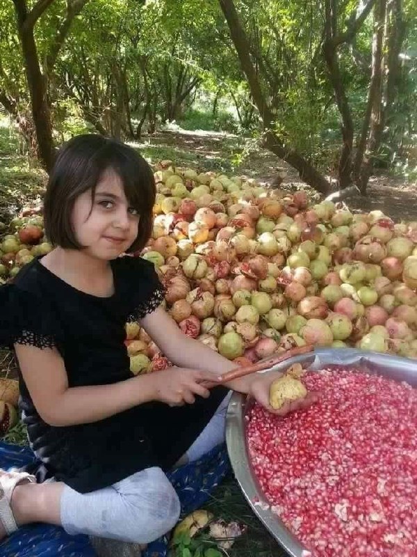 ایران زیبای من♥️🌹My Beautiful Iran: رسانه پست